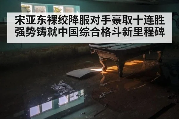 宋亚东裸绞降服对手豪取十连胜强势铸就中国综合格斗新里程碑
